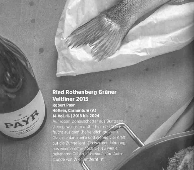 Presseartikel Vorschau