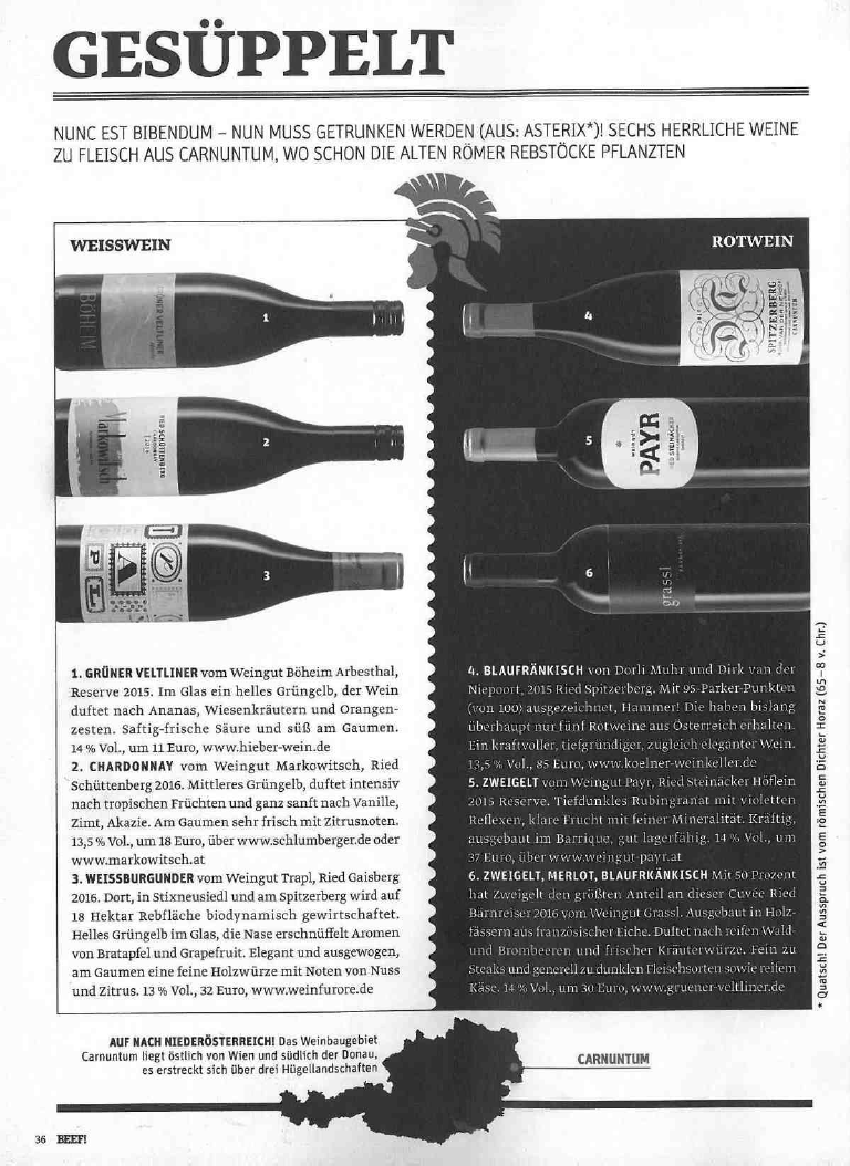 Presseartikel Vorschau