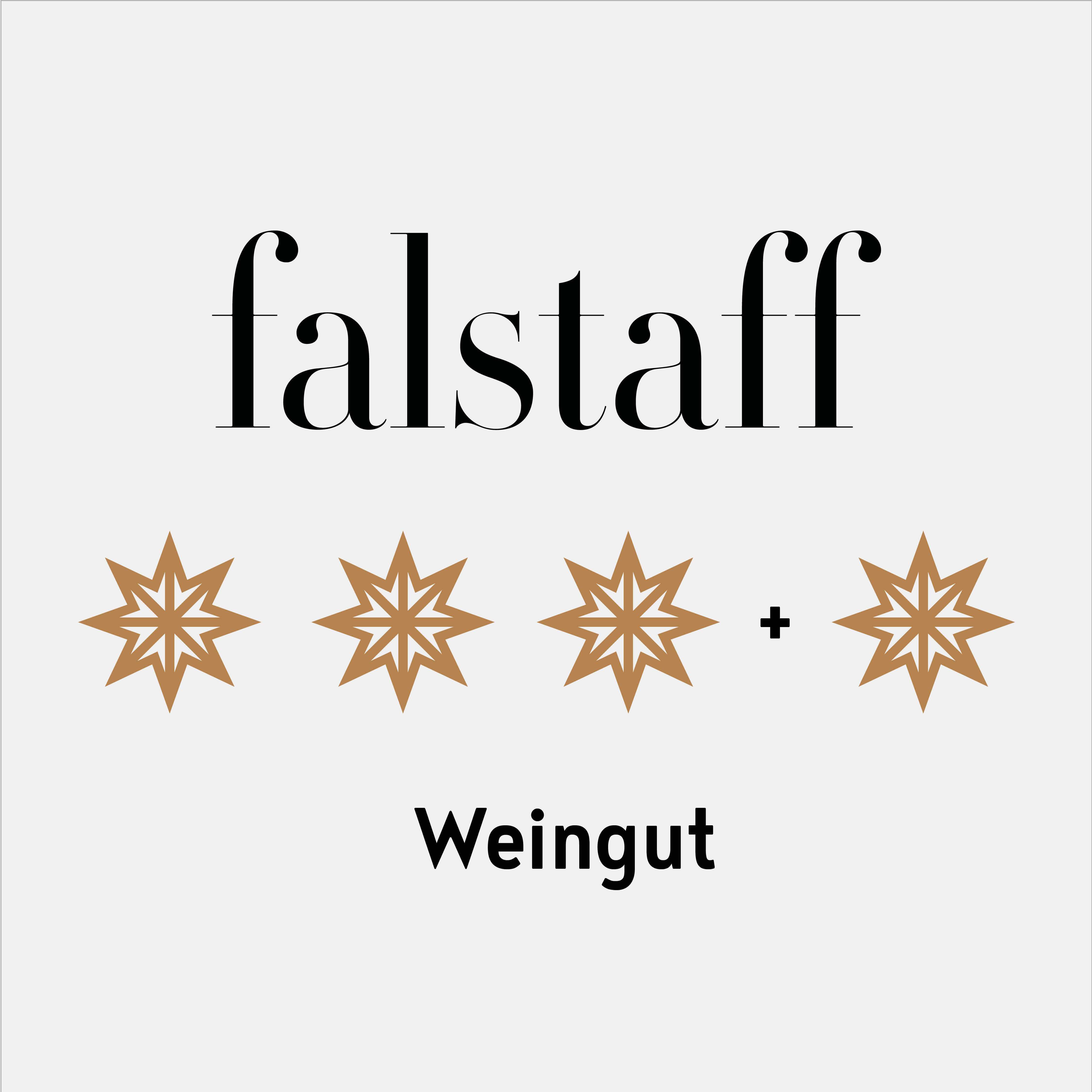 Weißweinbox Quadratisch 12