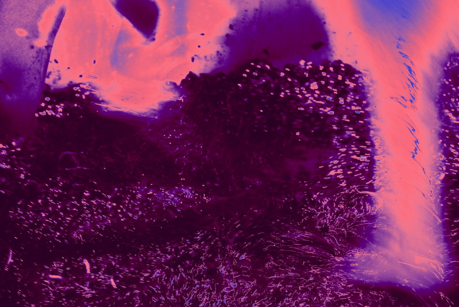 Weingut Payr About Im Einklang Mit Der Natur 02