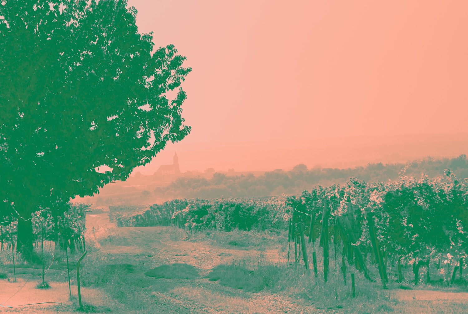 Weingut Payr About Region Und Lagen 01