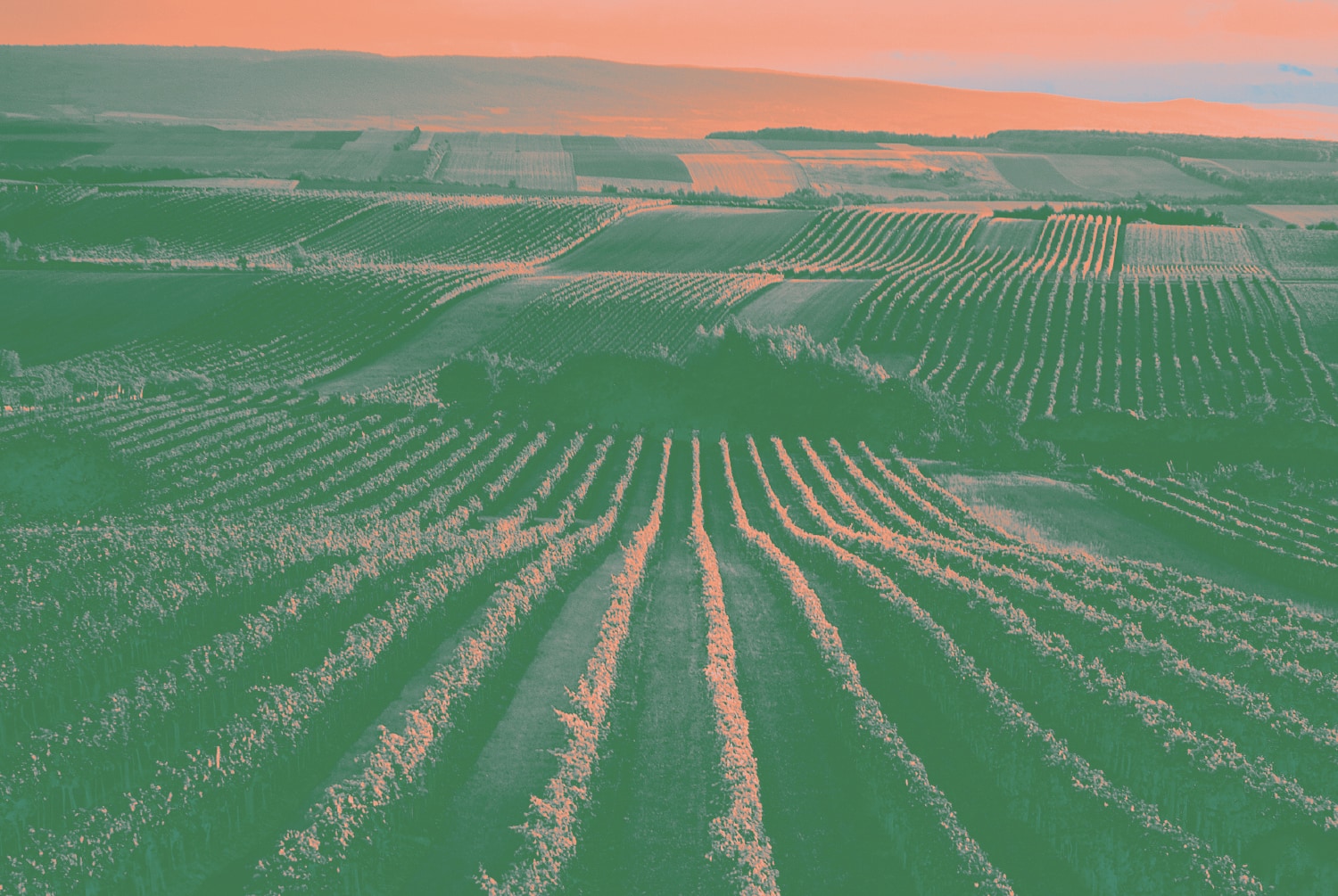 Weingut Payr About Region Und Lagen 02