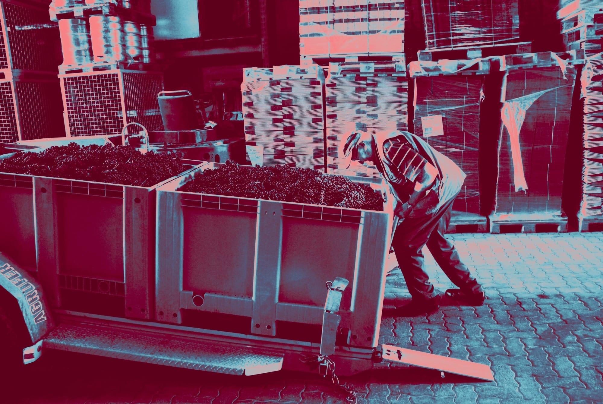 Weingut Payr Unermuedlich Aus Tradition 01