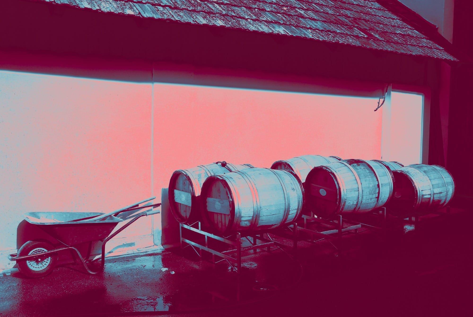 Weingut Payr Unermuedlich Aus Tradition 03